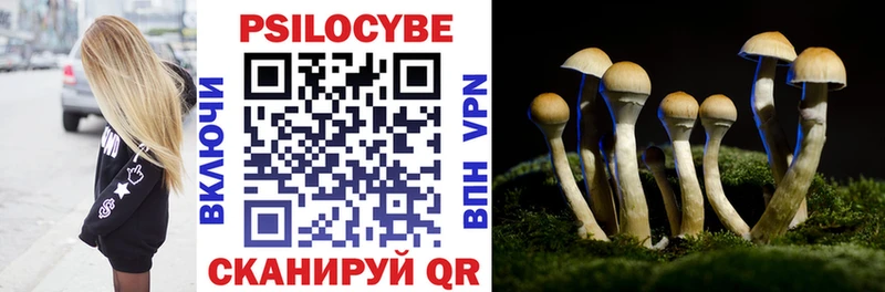 Псилоцибиновые грибы MAGIC MUSHROOMS  Макушино 