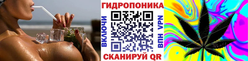 МАРИХУАНА SATIVA & INDICA  продажа наркотиков  Макушино 